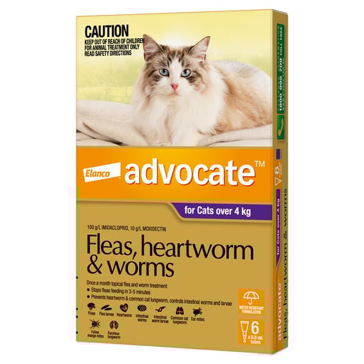 AdvocateTM Fleas, Heartworm & Worms for Cats Over 4kg - 6 Pack-0