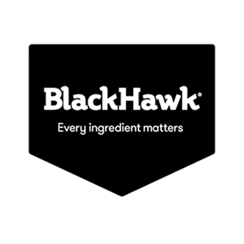 BLACK HAWK