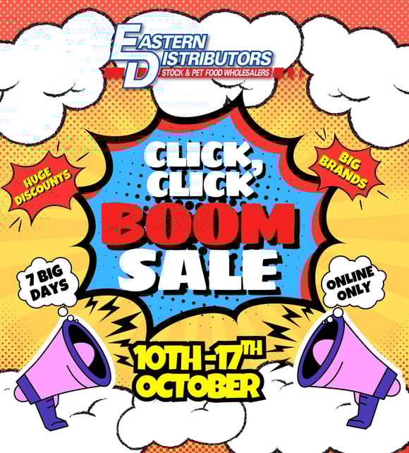 CLICK CLICK BOOM SALE (450 x 450 mm) (650 x 720 mm)