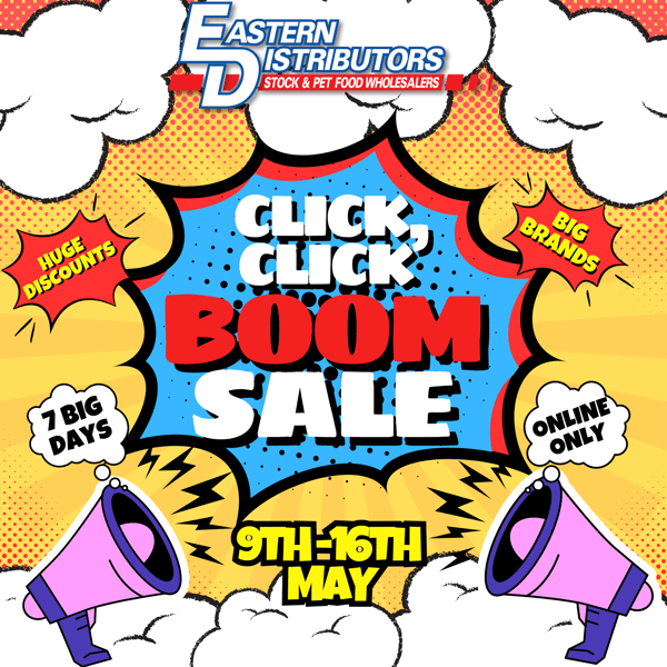 CLICK CLICK BOOM SALE (450 x 450 mm)