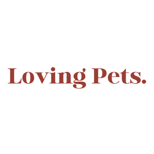 Loving Pets 2024