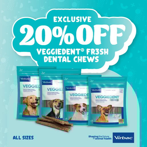 VAU-0152 Trade Night Deal_VEGGIEDENT_700x700px-100-1