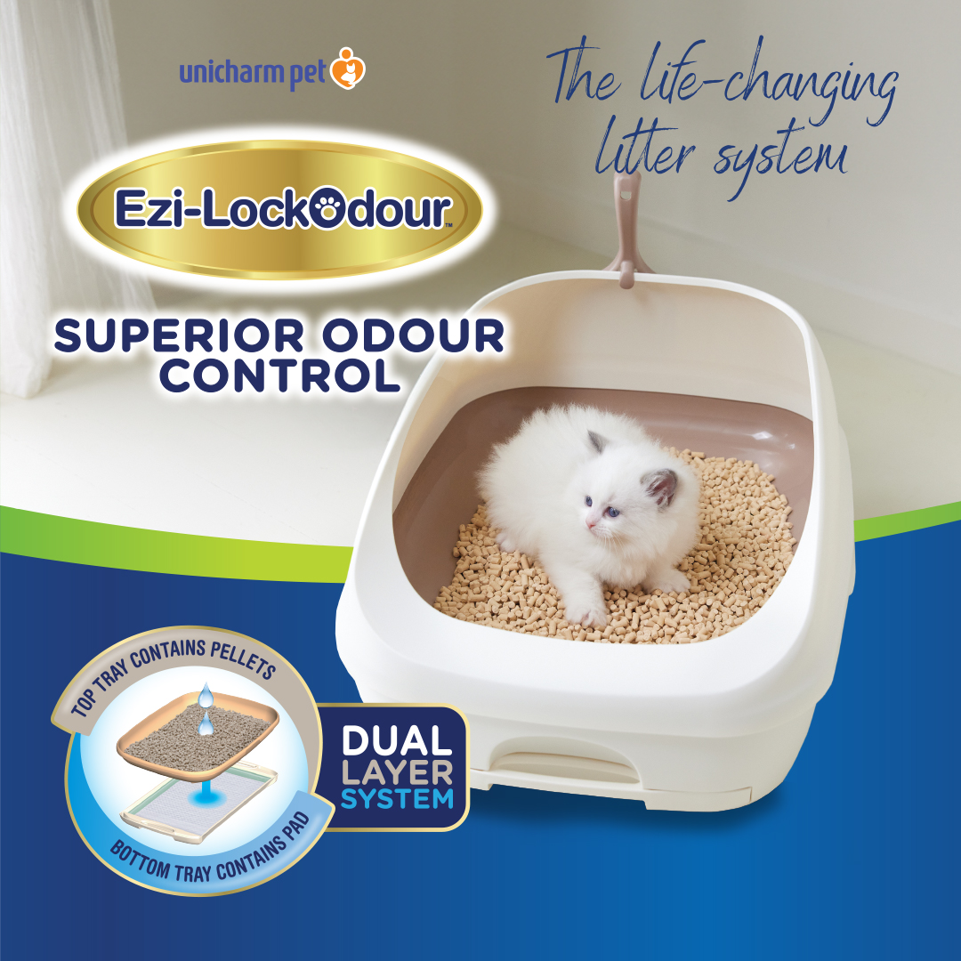 Eastern Distributors EziLock Blog Tile 1080x1080px