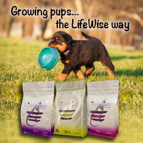 Growing Pups The LifeWise Way