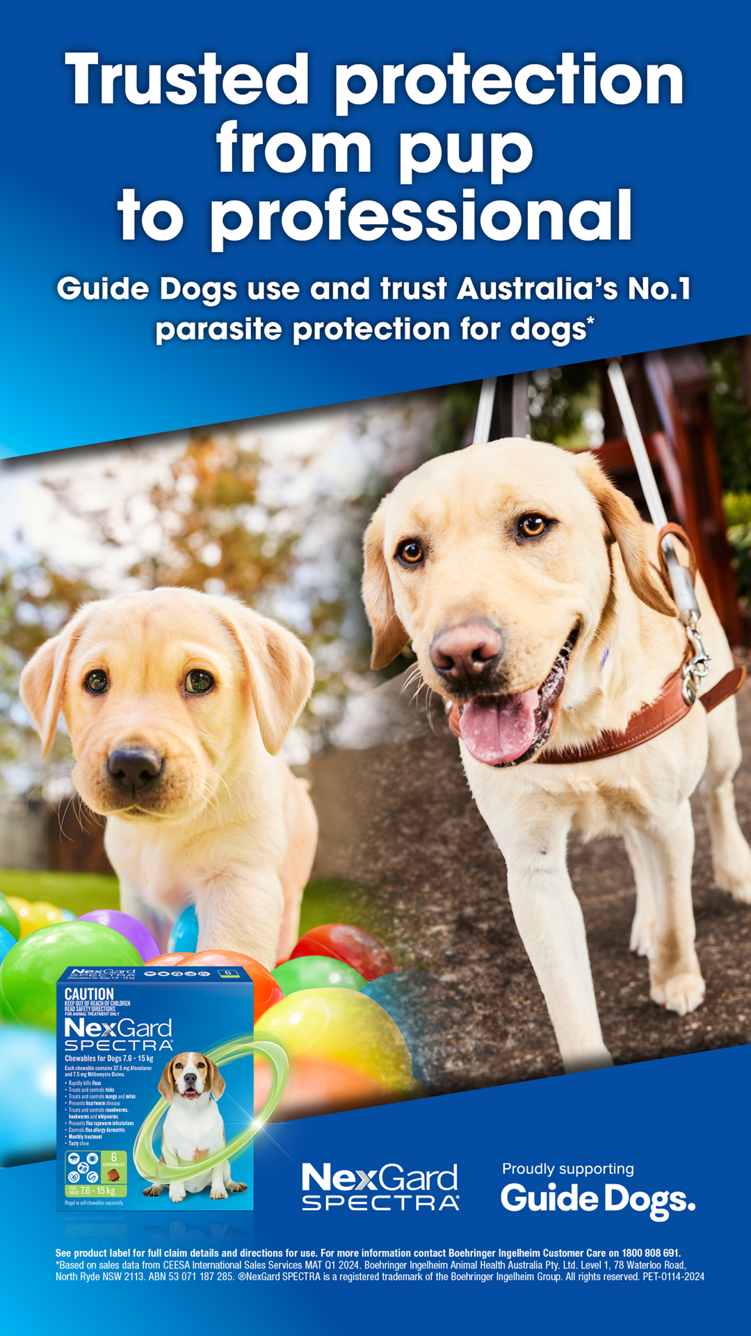 Guide Dogs and Spectra