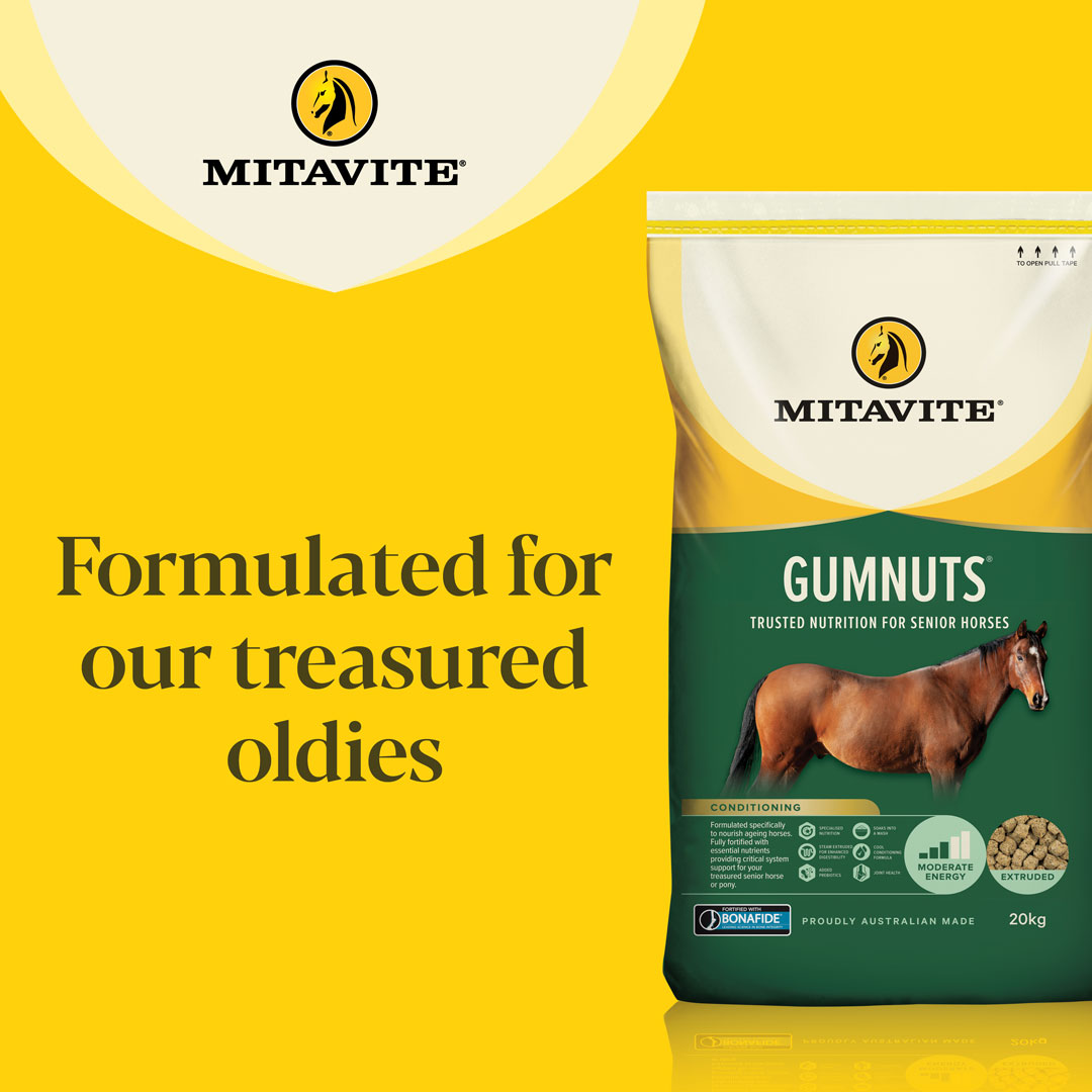 MIT1504_Mitavite_Gumnuts 13_5 (2)