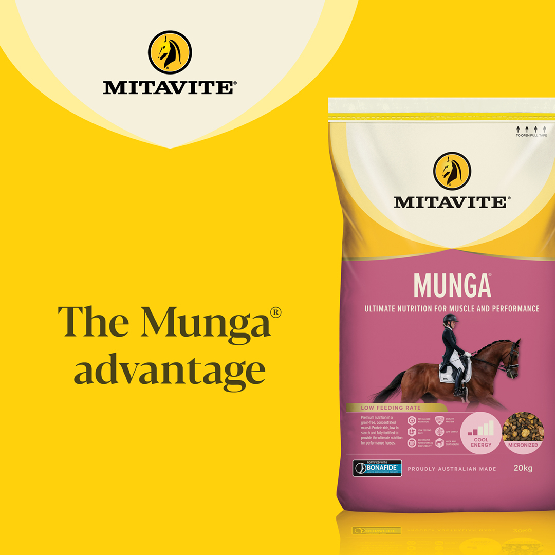 MIT3006_Mitavite Munga_JULY23