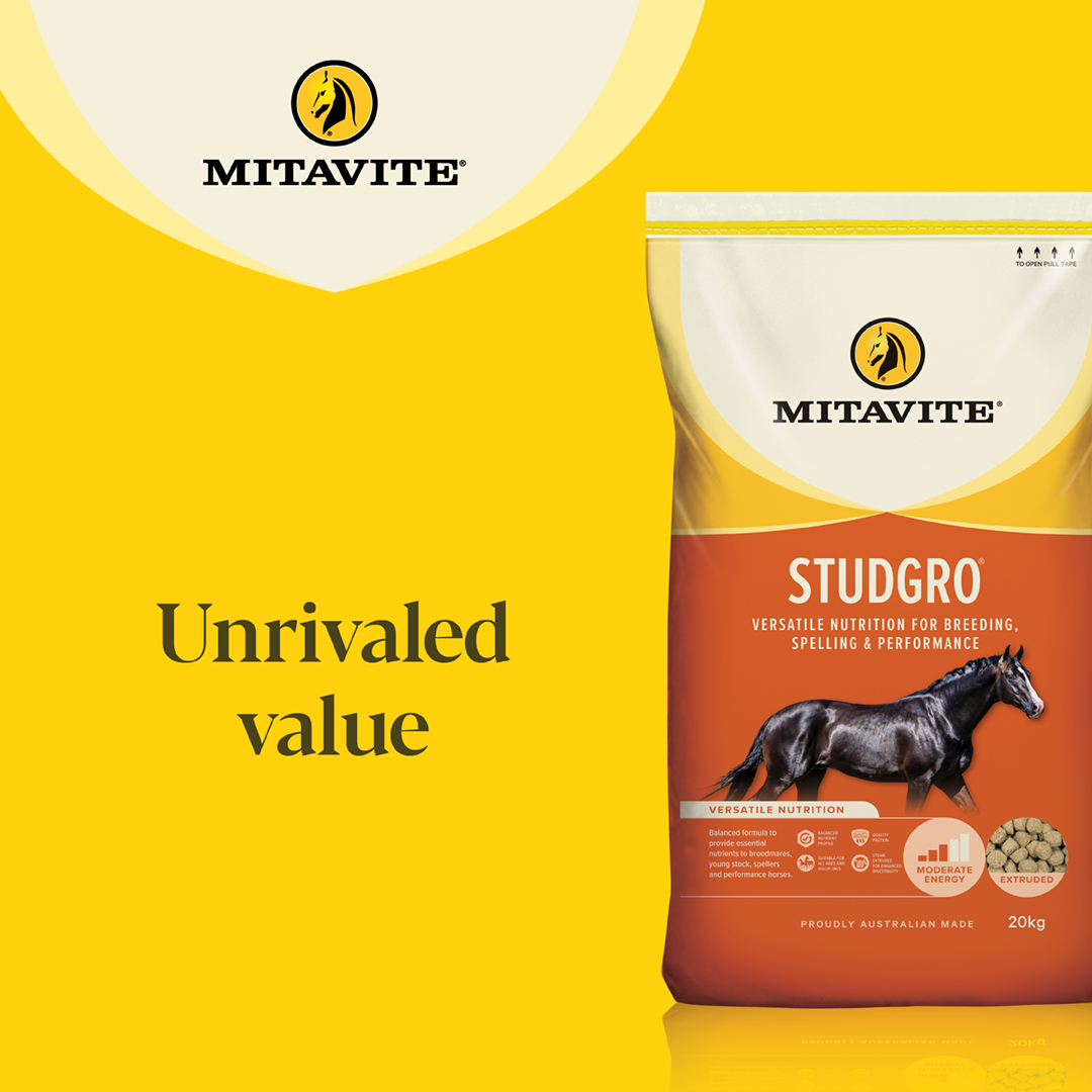 MIT3006_Mitavite Studgro_JULY23