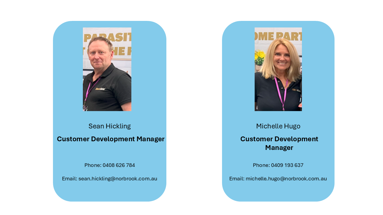 Meet the Team