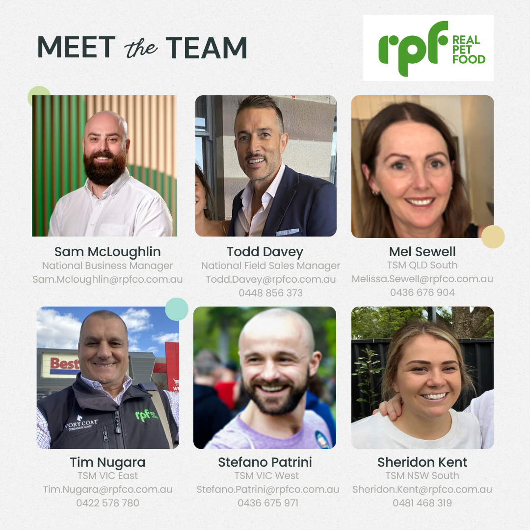 Meet the team 1