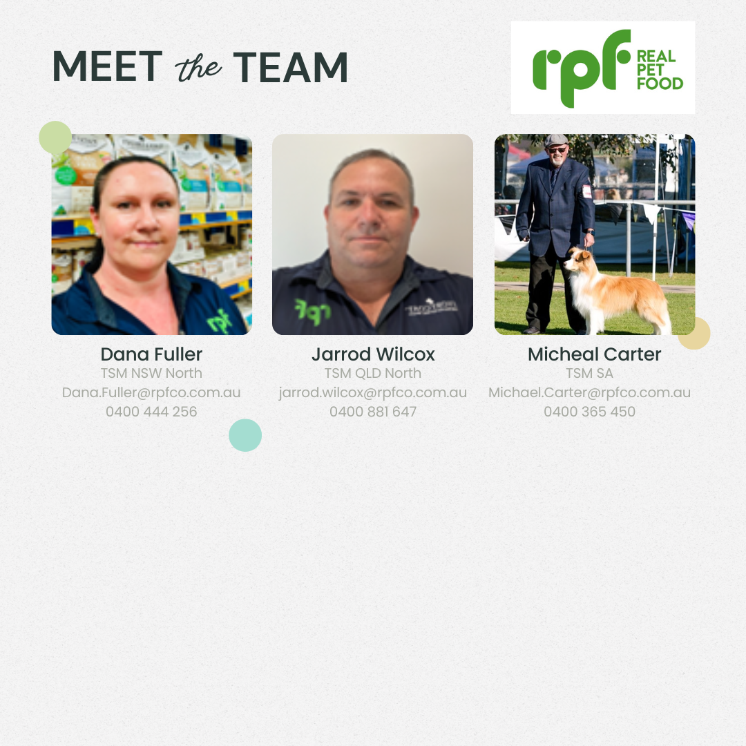 Meet the team 2