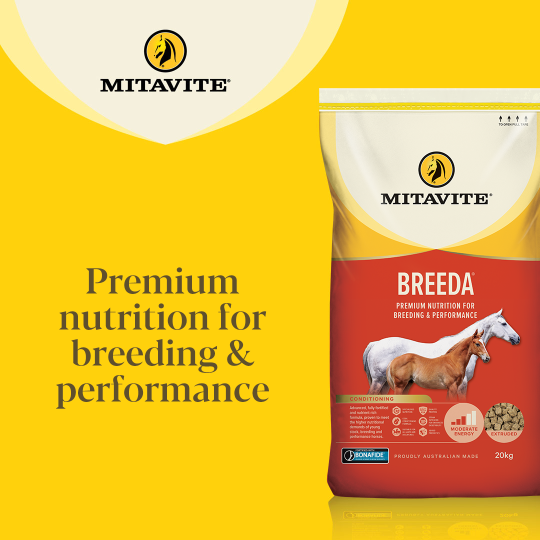 Mitavite Breeda tile