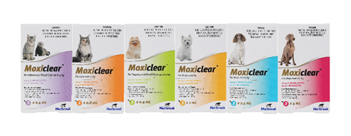 Moxiclear Eastern Blog Elements-Packs