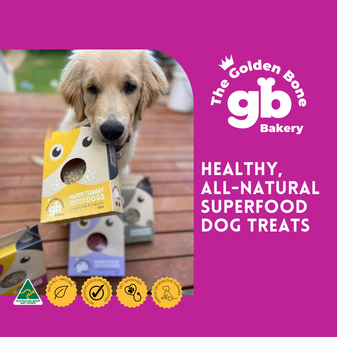 TGBB Brochure Tile